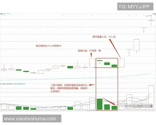 重庆街舞队战术解析与对比探讨全面剖析各队风格与技巧优势